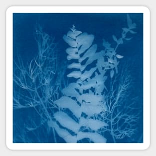 Blue Cyanotype Fern & Herbs Sun Print Sticker